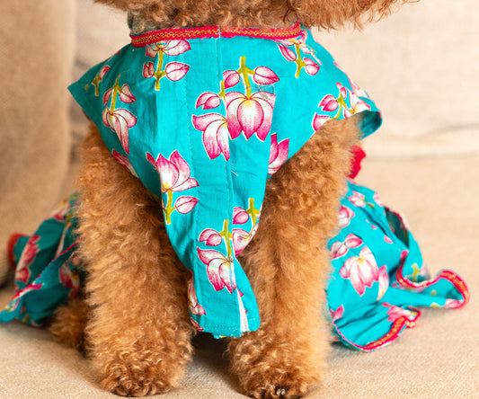 Teal Blue Gota Dog Kurta - Premium Indian Dog Ethnic Wear
