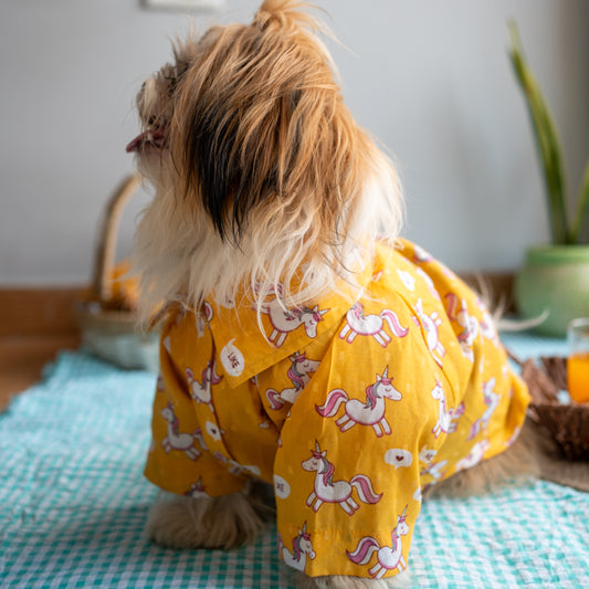Sunshine Muse Dress