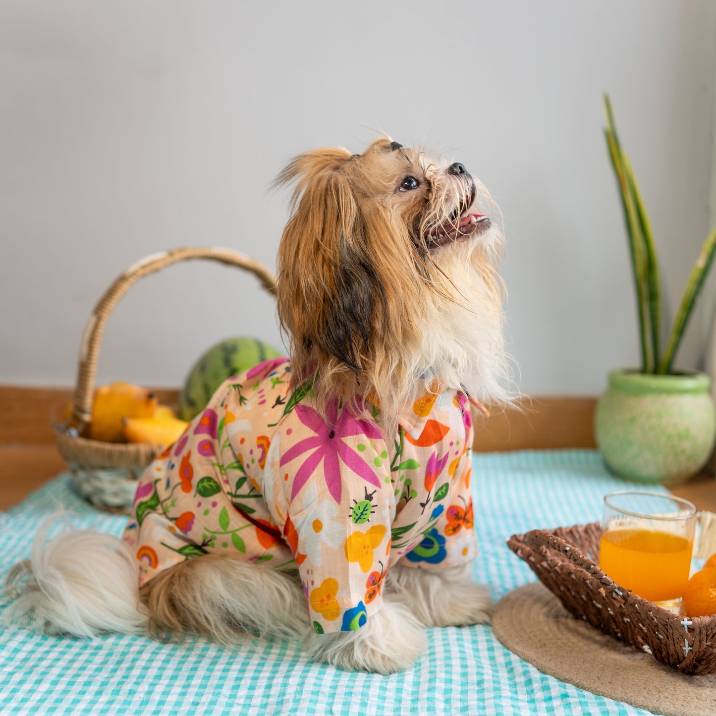 Sunshine Muse Dress