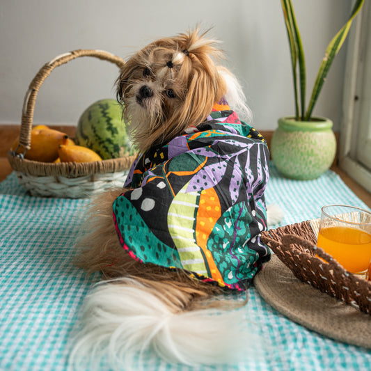 Teal Blue Gota Dog Kurta - Premium Indian Dog Ethnic Wear