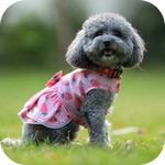Raincoat and Shirt