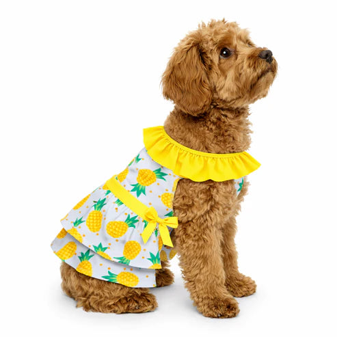 pineapple-dog-frock