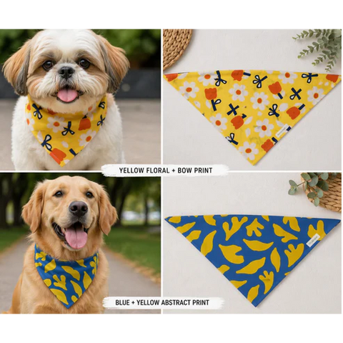 Summer Bandana Bundle For dogs