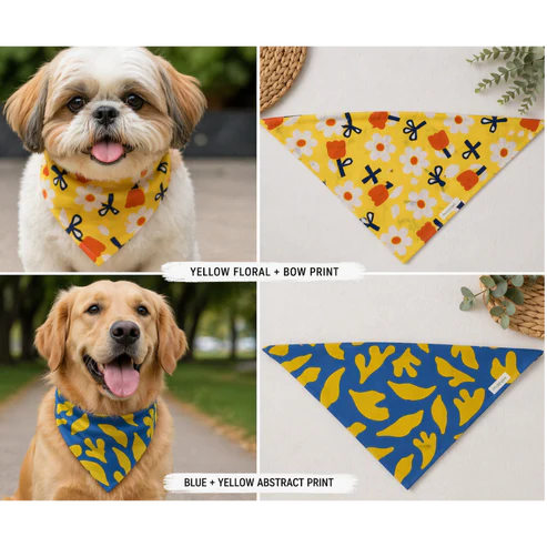 Summer Bandana Bundle For dogs